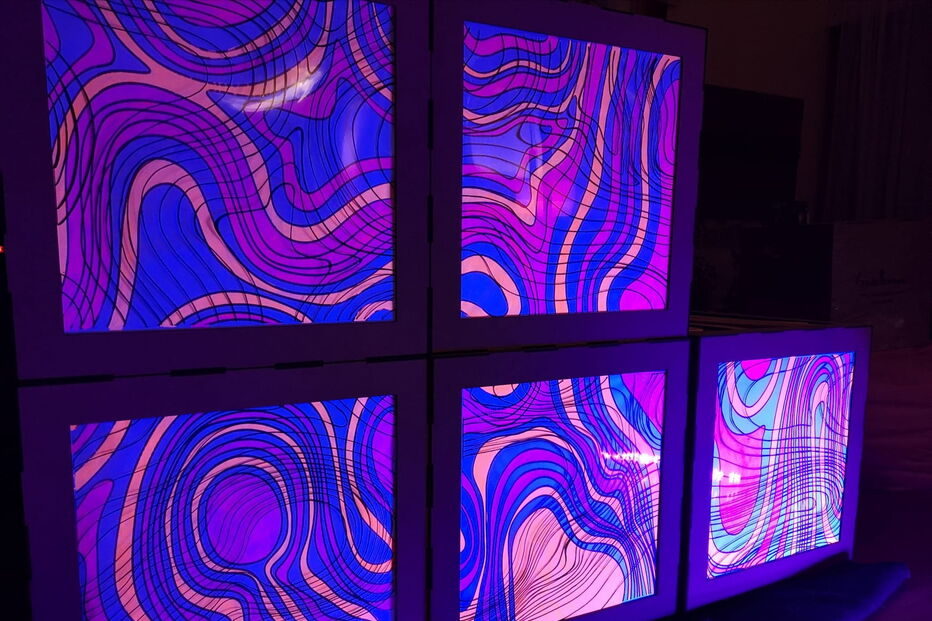 Obra de Graça Romano