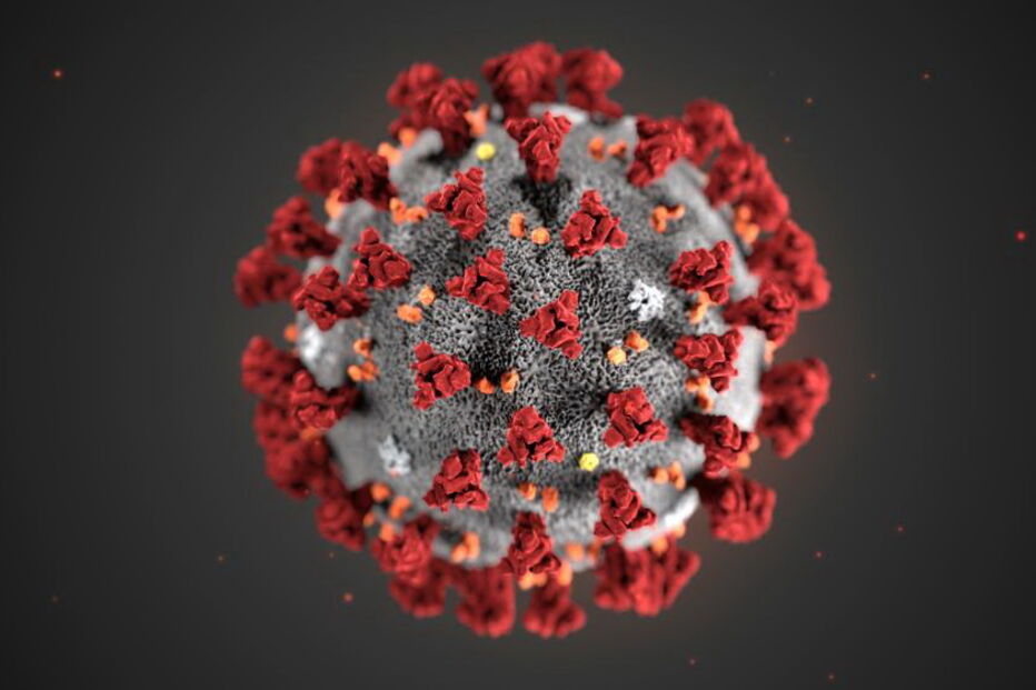 2020-01-31_20_28_42 coronavirus_virus2.jpg
