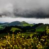 <![CDATA[ Governo Regional quer políticas europeias ajustadas às especificidades dos Açores ]]>