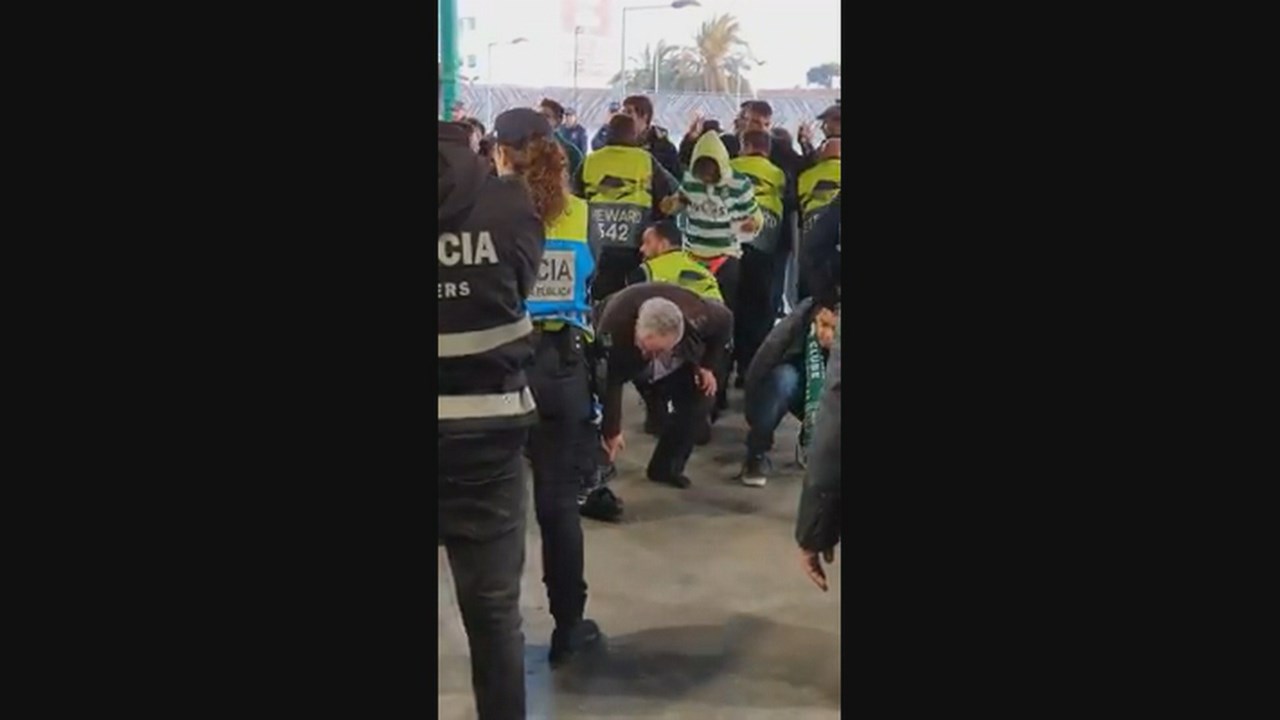 Bilhetes caros? Adeptos assistiram ao jogo do Barcelona no topo de uma  árvore