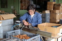 Fábrica de cutelarias de Miranda do Douro produziu sete milhões de canivetes em 150 anos