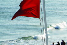 Os fungos devem ser tidos em conta na avaliação das praias 