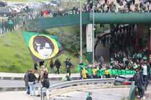 Adeptos do Sporting protestam contra direção do clube em Alvalade