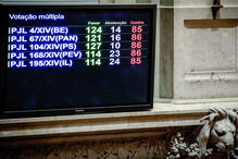 Momento histórico no Parlamento: cinco projetos para despenalizar a eutanásia aprovados