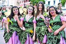 Em Loures o carnaval mais saloio do País teve beleza e alegria  