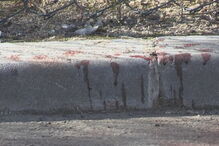 Homem tenta matar a tiro ex-namorada na Vidigueira