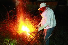 Uso do fogo para destruir um ninho em Espinho