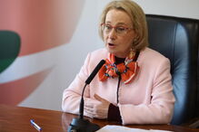 Diretora-geral da Saúde, Graça Freitas