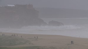 Estado de saúde de surfista português Alex Botelho agrava-se. Algarvio ligado a ventilação artificial