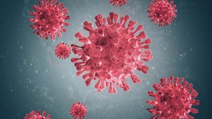 DGEstE dá orientações sobre planos de contingência para o coronavírus nas escolas