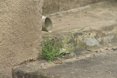 População do Pinhal Interior paga saneamento sem ter rede de esgotos