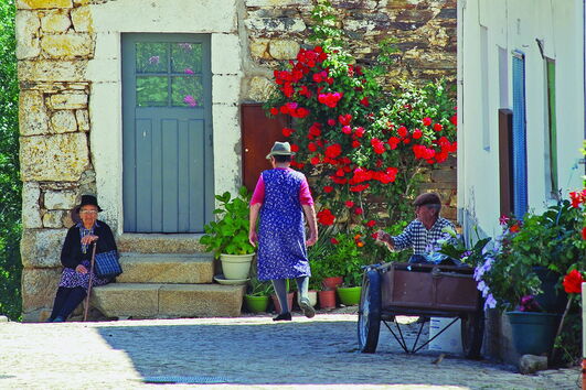 Vítimas são normalmente idosos isolados que são apanhados pelos burlões e enganados em vários esquemas como o ‘conto do vigário’ 