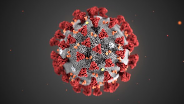 Do primeiro dia até hoje: A cronologia do coronavírus que está a deixar o Mundo em alerta