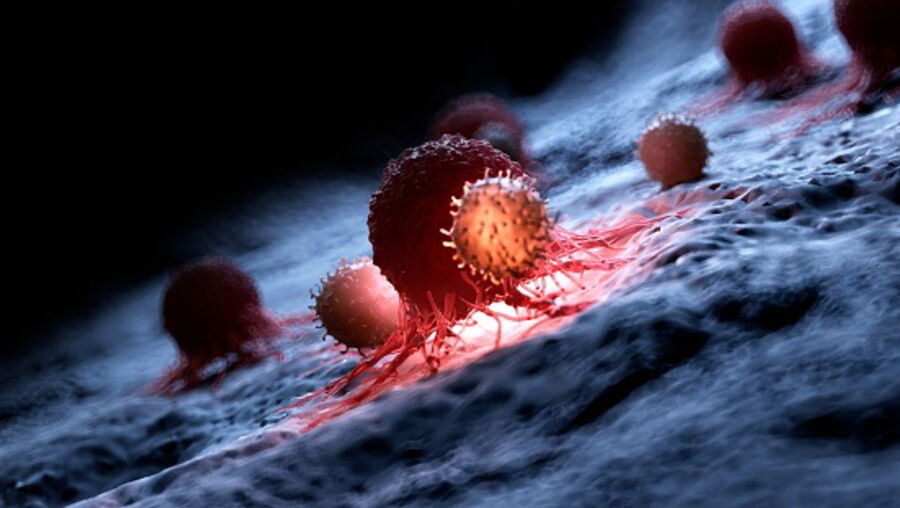 Cancro