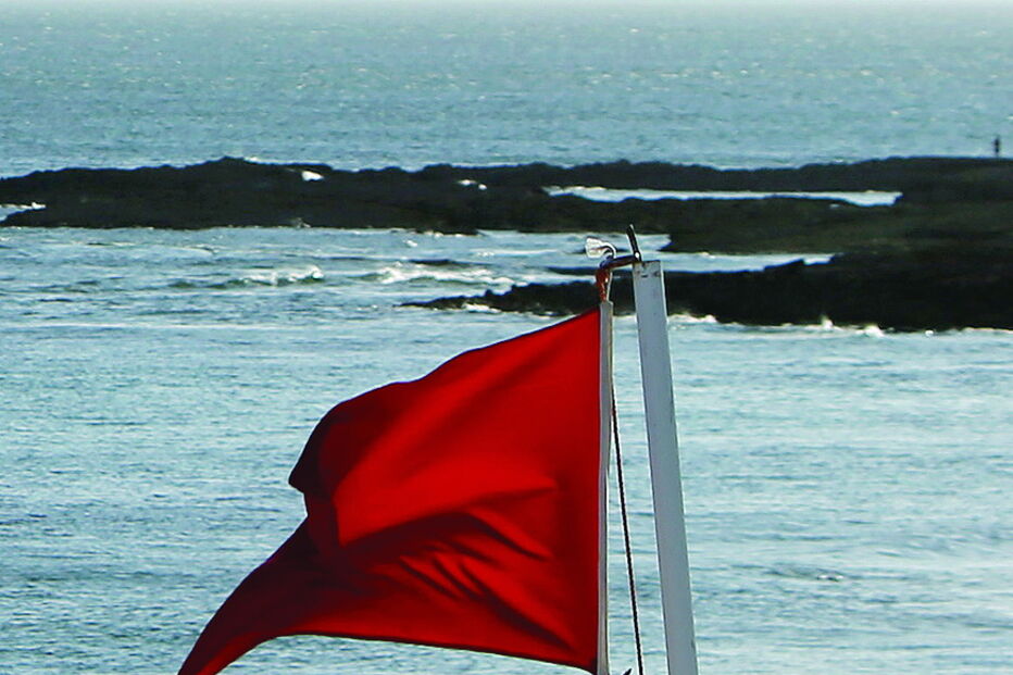 Os fungos devem ser tidos em conta na avaliação das praias 