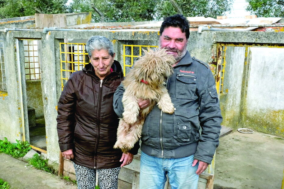 Sem-abrigo do Pinhal Novo, em Palmela, sobrevivem há pelo menos três meses graças à solidariedade de amigos e conhecidos