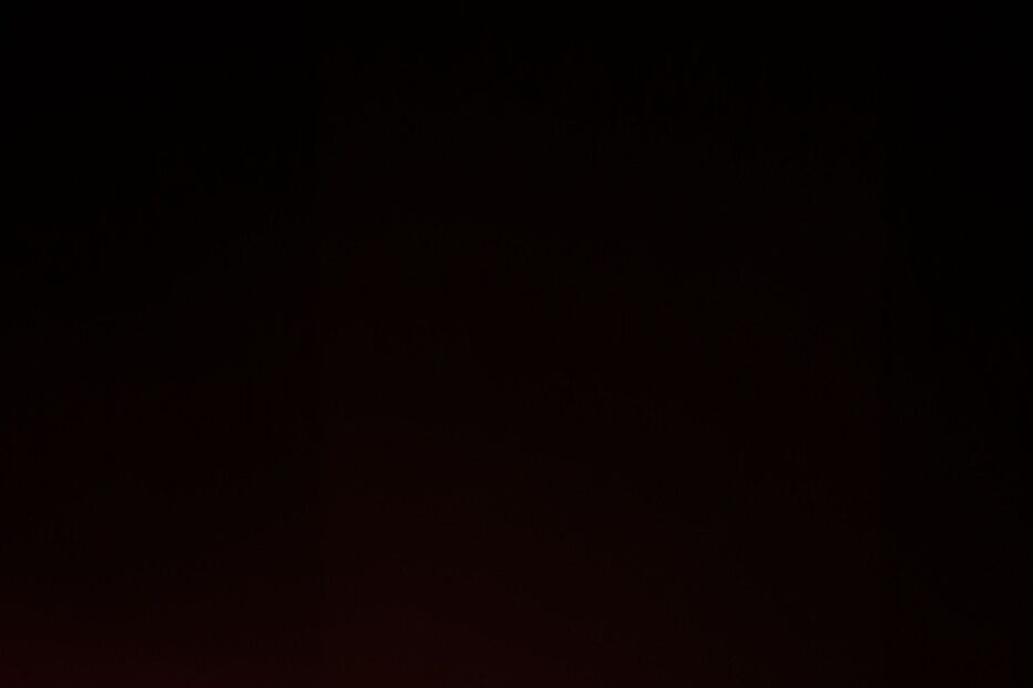 2020-02-02_14_02_41 FOTO 4.jpg