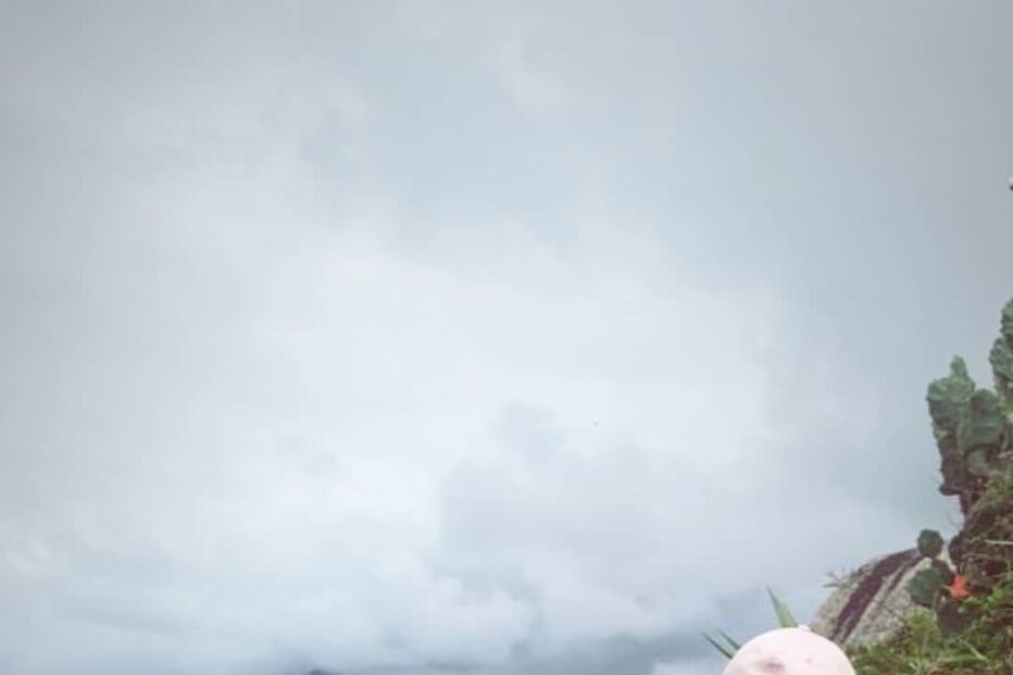 As férias escaldantes de Ruth Marlene e Jessica Portugal