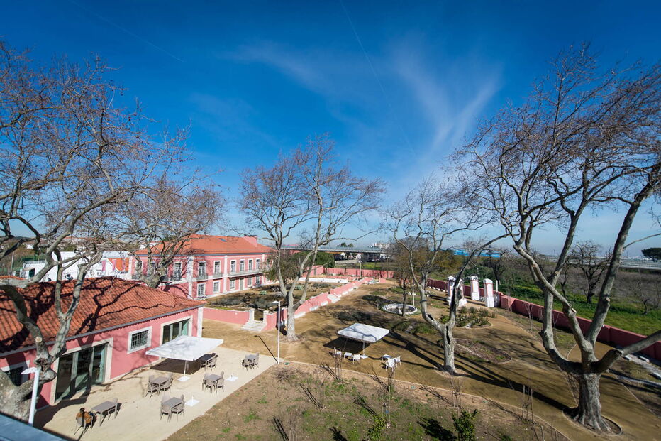 2020-02-06_14_31_13 33522124.jpg