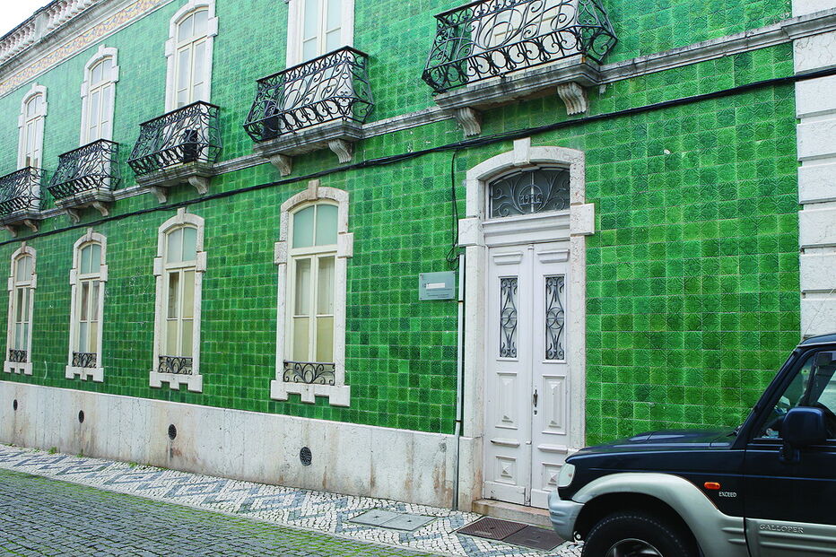 Cadastrado lança terror em técnicas de instituições de apoio social e a toxicodependentes