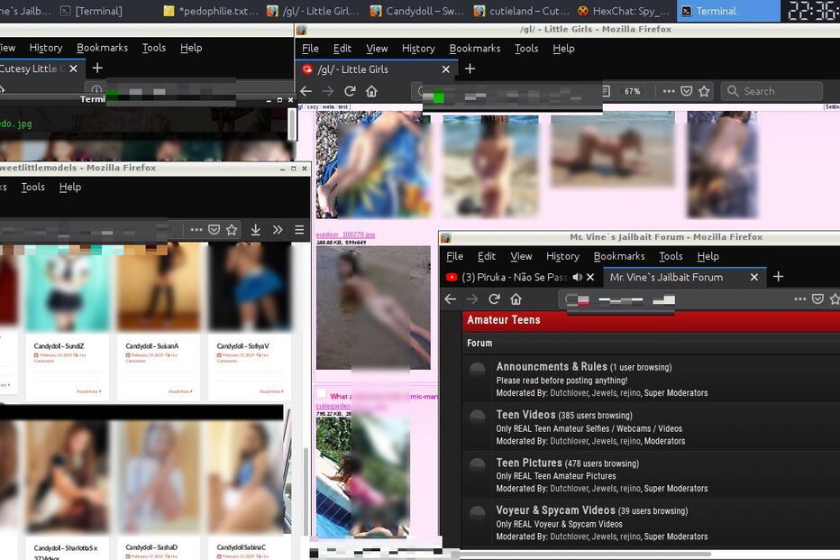 Pirata informático expõe rede internacional de pedofilia