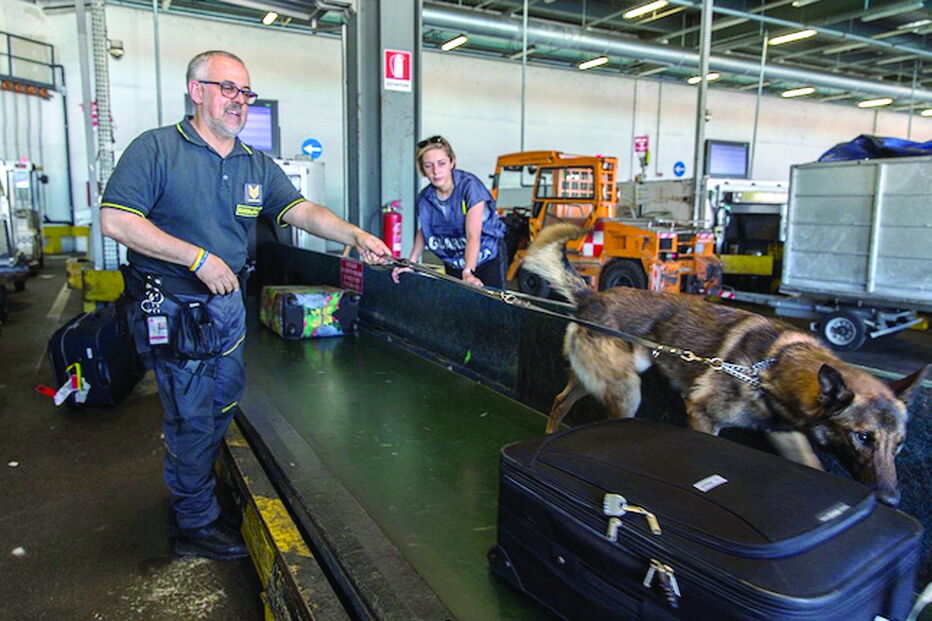 Banny detetou o odor a droga proveniente da bagagem da portuguesa, que disse ser “feiticeira profissional” 