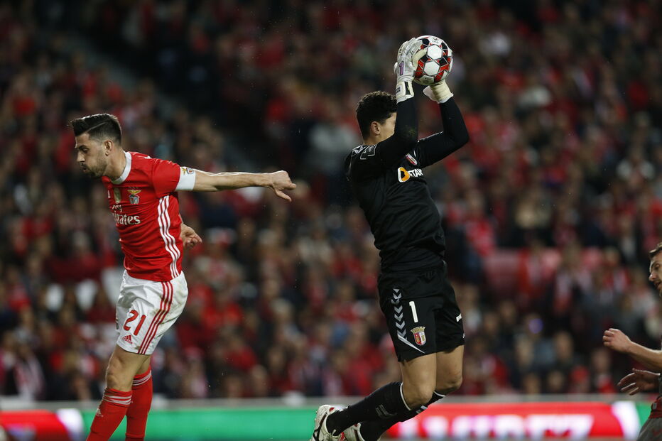 2020-02-15_18_48_57 imgpsh_2fullsize_anim.jpg