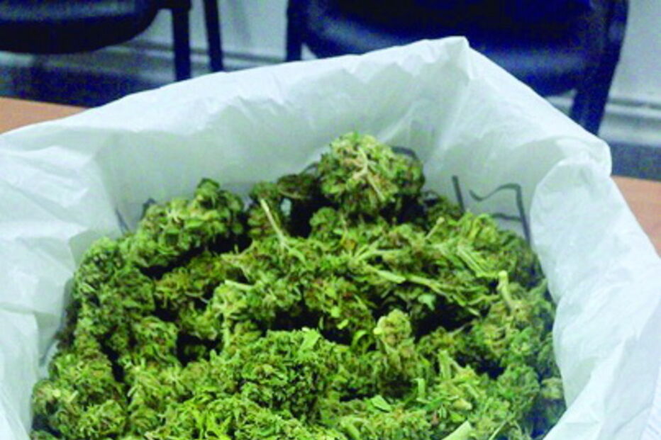 Tinha 276 doses de liamba    