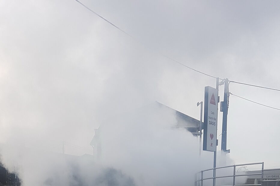 Carrinha consumida pelas chamas em Gondomar