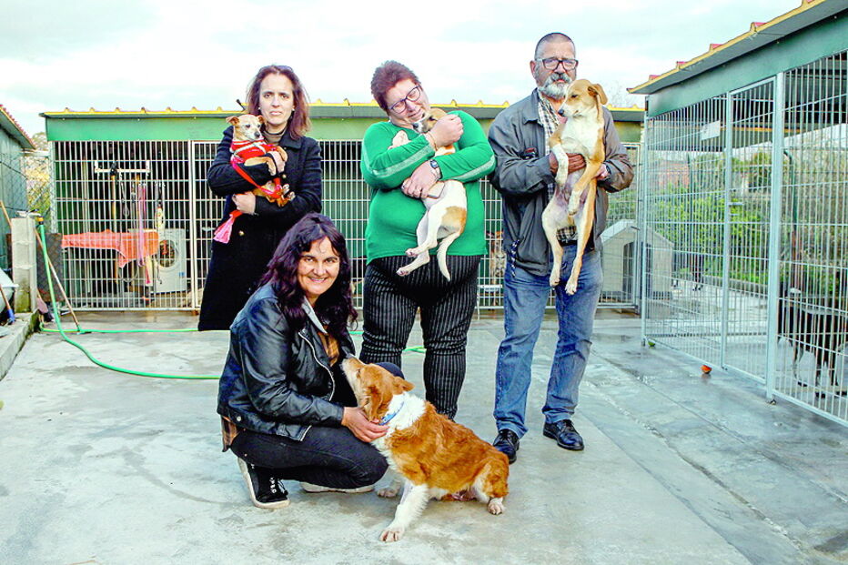Os voluntários da Condeixa Patudos com alguns dos animais que são acompanhados pela associação