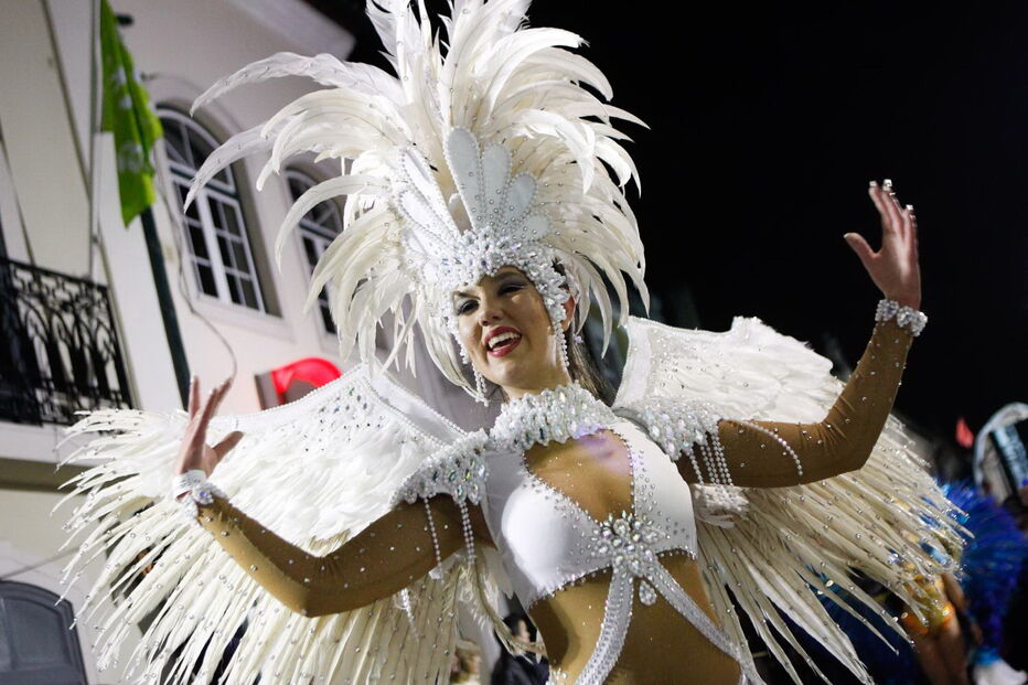 Samba em destaque nos desfiles de Carnaval