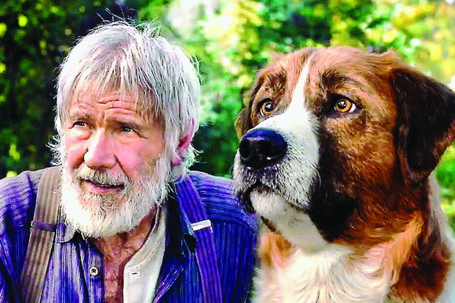 ‘O Apelo Selvagem’ 