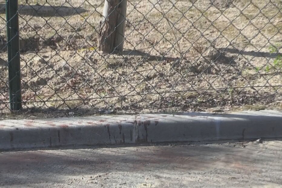 Homem tenta matar a tiro ex-namorada na Vidigueira