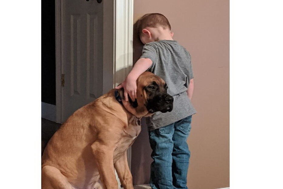 Cão fez companhia a bebé de três anos que estava de castigo