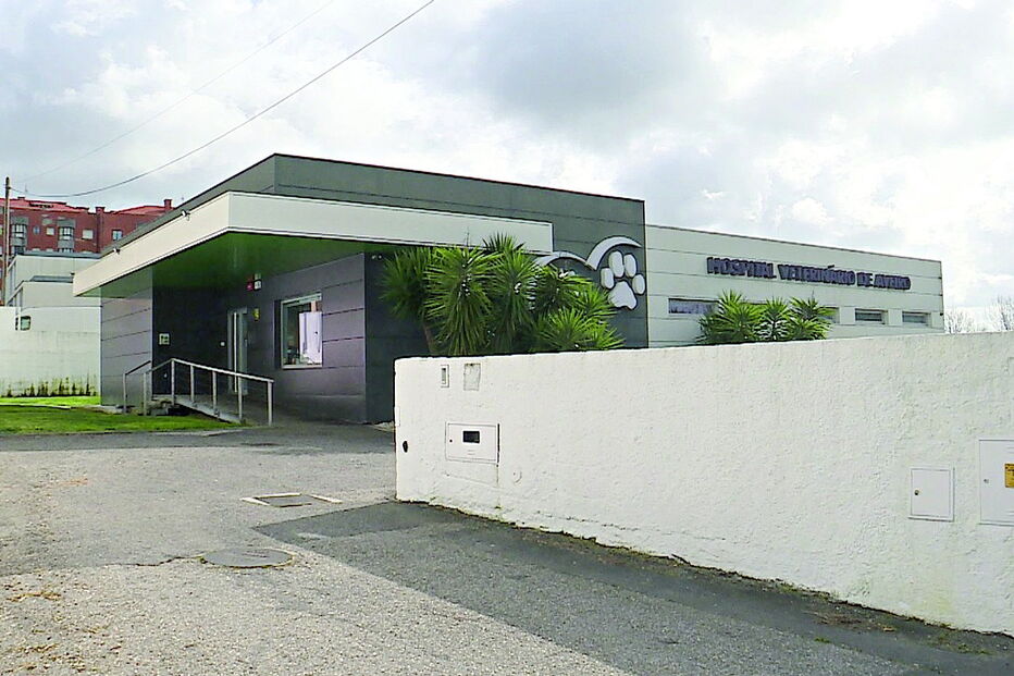 Homem acabou por pedir ajuda nas Urgências do hospital Veterinário