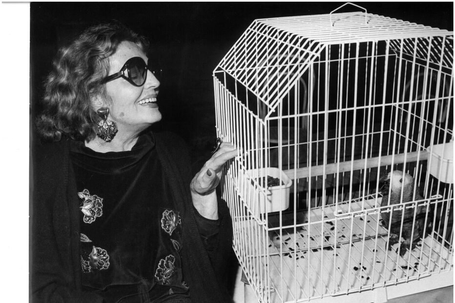 2020-02-28_11_12_42 SMA3LIS2NPF20022116410.jpg