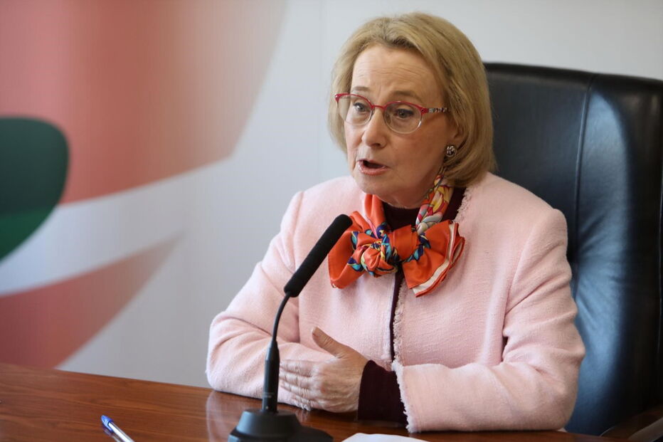 Diretora-geral da Saúde, Graça Freitas