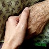 Mulher de 81 anos mordida por ratazana em lar de Montargil