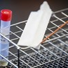 Laboratórios científicos unem-se para desenvolver teste de deteção de anticorpos contra coronavírus