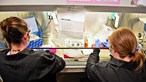 Cloroquina entra no teste europeu para descoberta da cura do coronavírus