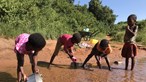 Moçambique entre os 27 países que enfrentam maior crise alimentar das últimas gerações