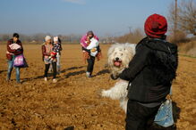 Migrantes caminham perto da fronteira da Turquia para chegar à Grécia