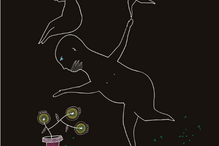 2020-03-08_20_24_47 Ilustração Valter Hugo Mãe.png