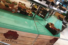 2020-03-11_18_51_05 image3.jpg