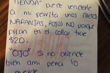 Homem em isolamento manda cadela às compras com lista e dinheiro na coleira