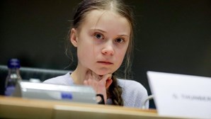 Biólogos descobrem nova espécie de rã no Panamá e batizam-na de Greta Thunberg