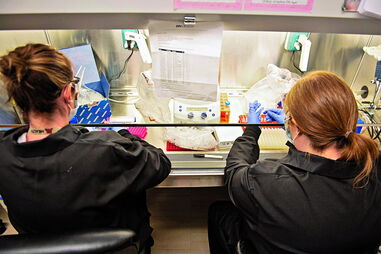 Investigação de combate ao coronavírus