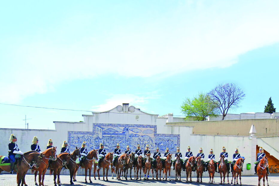 Cavalos da PSP e GNR  têm uma subida de 12 cêntimos por quatro horas de serviço   