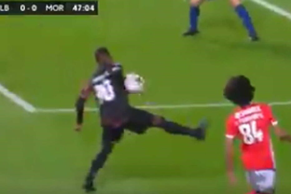 2020-03-02_23_19_26 video.jpg