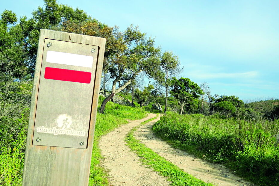 Vítima estava a fazer uma caminhada na zona de Odelouca 